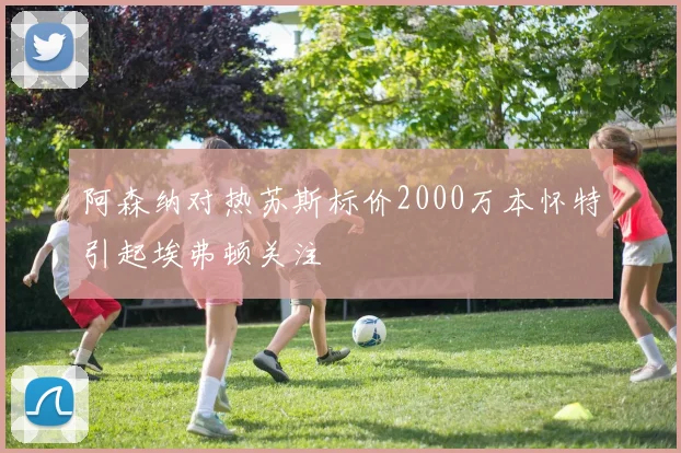 阿森纳对热苏斯标价2000万本怀特引起埃弗顿关注