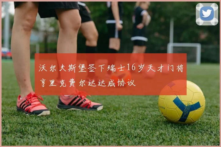 沃尔夫斯堡签下瑞士16岁天才门将亨里克费尔达达成协议