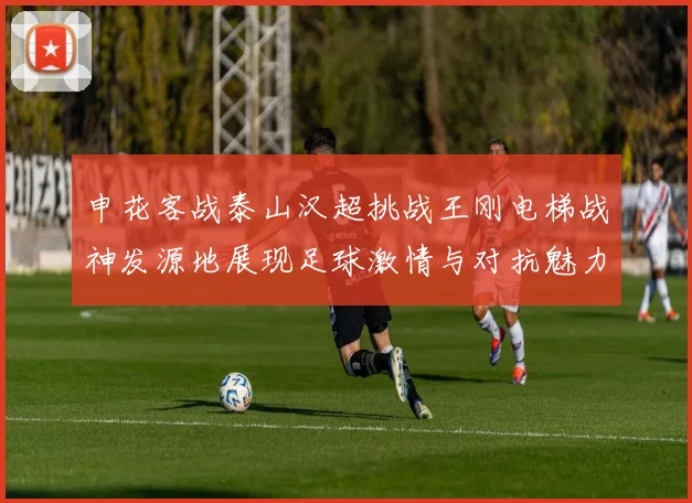 申花客战泰山汉超挑战王刚电梯战神发源地展现足球激情与对抗魅力