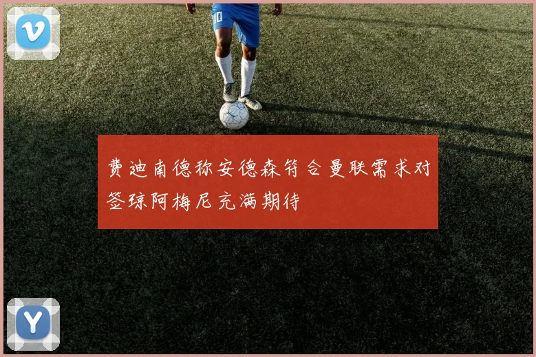 费迪南德称安德森符合曼联需求对签琼阿梅尼充满期待